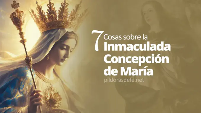 Cosas sobre la Inmaculada Concepcion de Maria