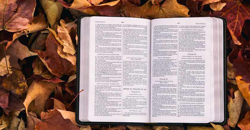 biblia sagrada escritura sobre hojas manejar abreviaciones de la biblia