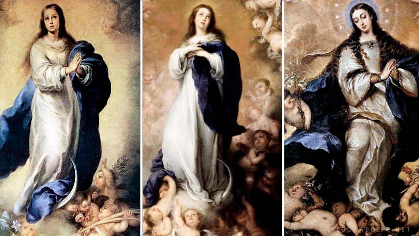 inmaculada concepcion de maria cosas que debemos conocer saber aprender dogma