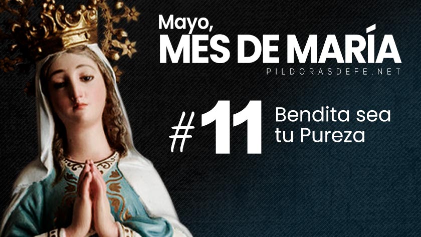 mayo mes de maria dia  bendita sea tu pureza