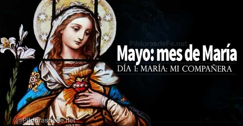 mayo mes de maria dia reflexion la virgen maria es mi companera