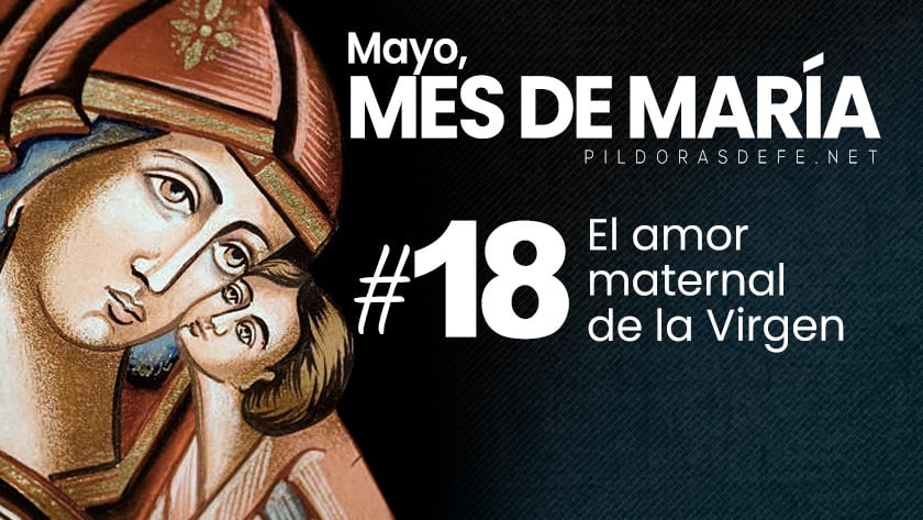 mayo mes de maria dia  amor maternal de la virgen