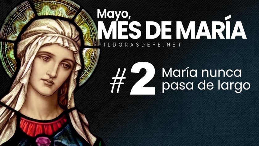 mayo mes de maria dia  virgen maria no pasa de largo