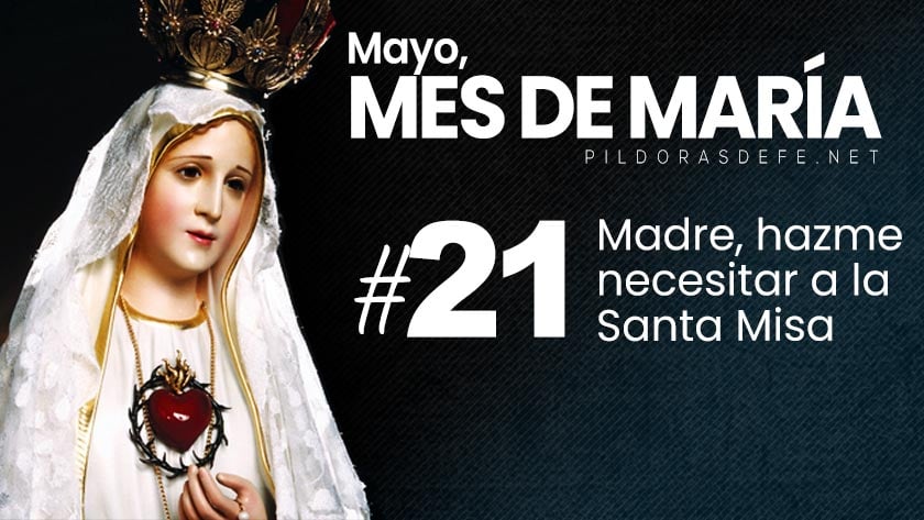 mayo mes de maria dia  madre virgen amar necesitar santa misa