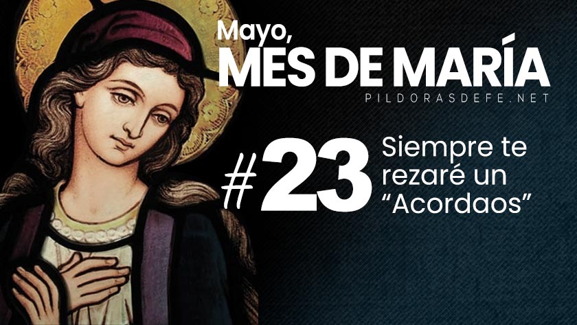 mayo mes de maria dia  virgen siempre rezar el acordaos