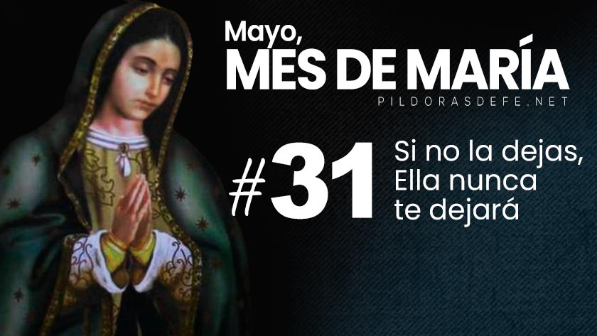 mayo mes de maria dia  la virgen nunca te dejara