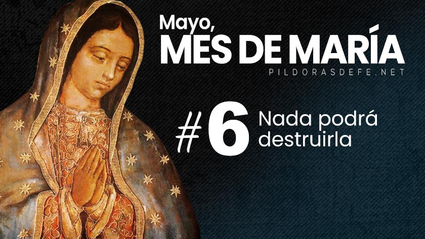 mayo mes de maria dia  nada podra destruirla