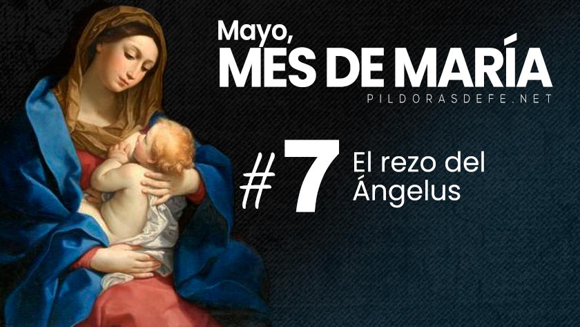 mayo mes de maria dia  el rezo del angelus