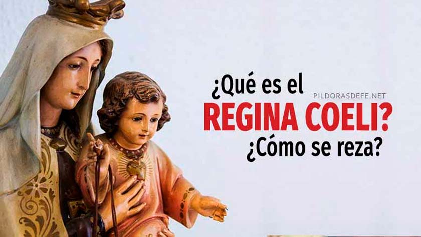 regina coeli oracion mariana que es rezar en tiempo de pascua angelus