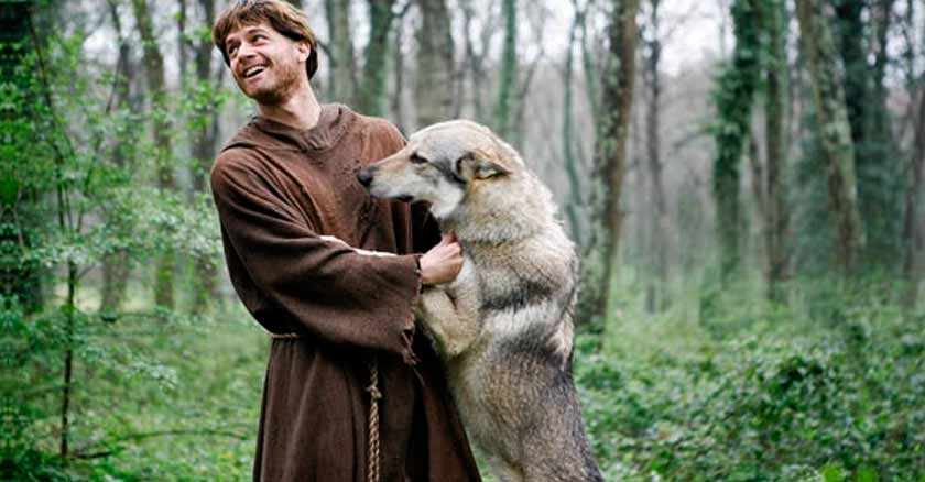 san francisco de asis y el lobo de gubbio encuentro bosque