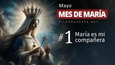 Mayo Mes de Maria dia  Maria es mi companera