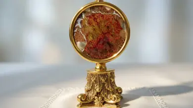Sorprendentes Milagros Eucarísticos revelan tener el mismo tipo de sangre y ADN