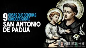 9 cosas que debes saber sobre San Antonio, el santo de todo el mundo