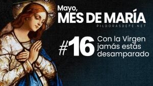 mayo mes de maria dia  con la virgen no estas desamparado