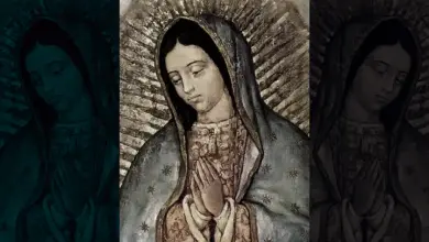 La Tilma de la Virgen de Guadalupe no tiene explicación científica