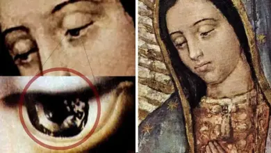 Las 13 figuras encontradas en los ojos de Nuestra Señora de Guadalupe