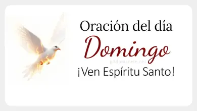 oracion del dia domingo  feb  oracion diaria espiritu santo