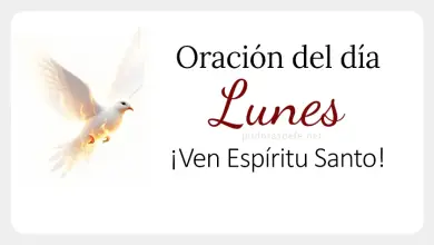 oracion del dia lunes  feb  oracion diaria espiritu santo