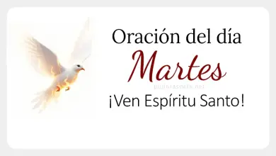 oracion del dia martes  feb  oracion diaria espiritu santo