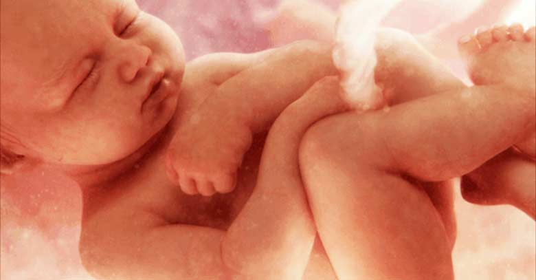 bebe dentro de utero de madre cordon umbilical eco d