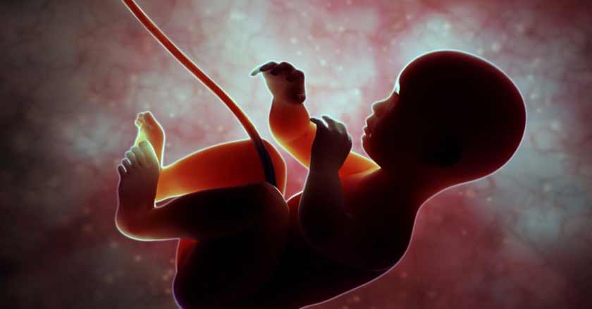 bebe en el utero el aborto es obra maestra del demonio viola todos los mandamientos