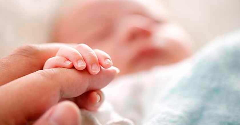 bebes en el vientre materno sienten dolor al ser abortados bebe sostiene mano de mama