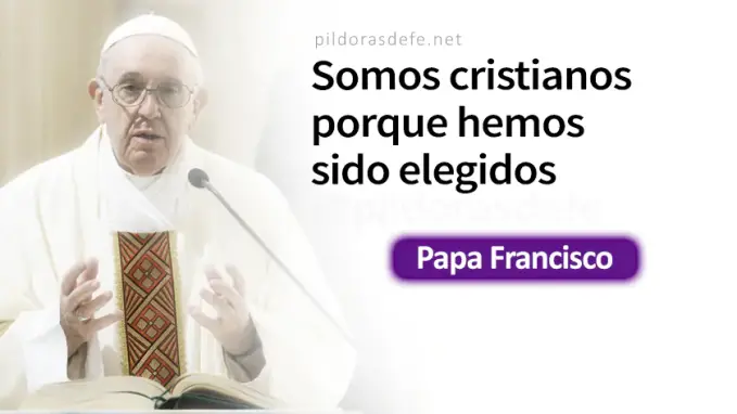 Abraham me vio y se alegro Papa Francisco Juan    Cita Biblica   