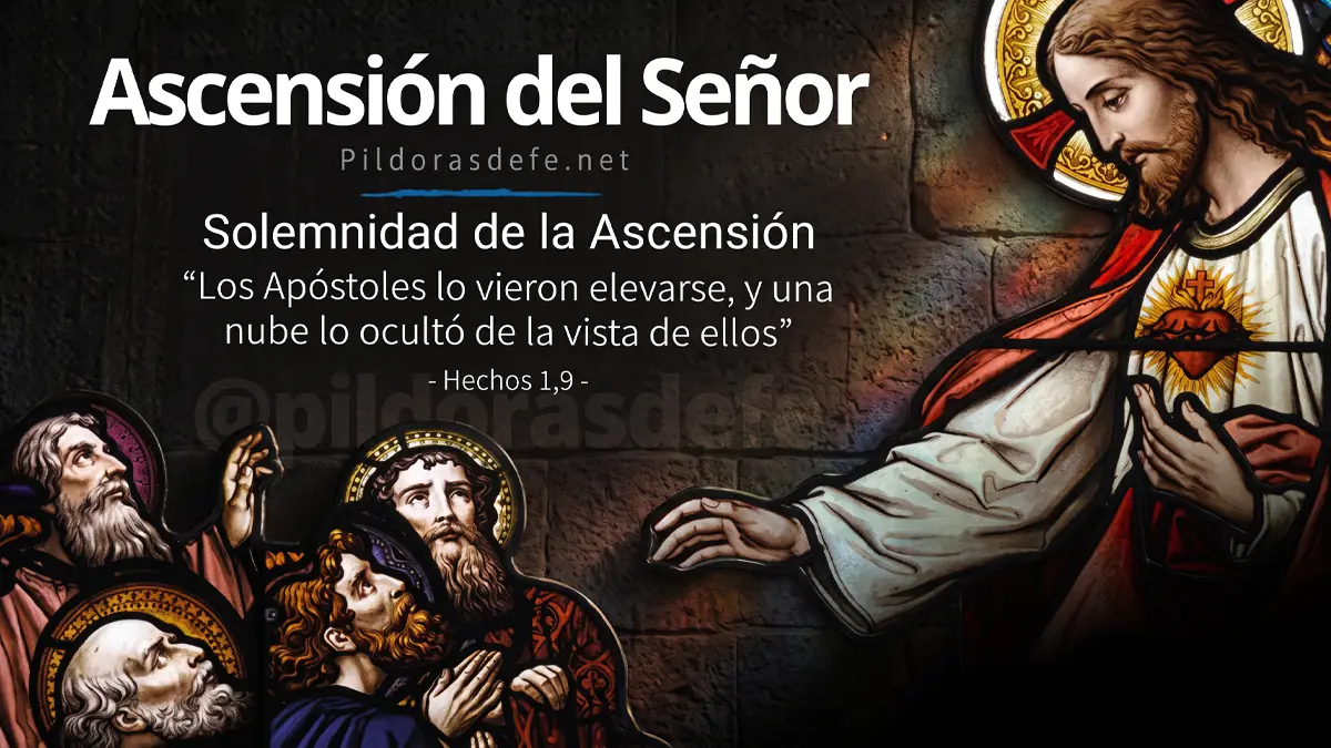 Ascension del Senor Jesus asciende al Cielowebp