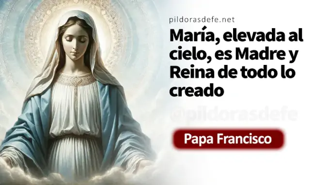 Concebiras daras luz a un hijo Lucas    Evangelio Cita Biblica   