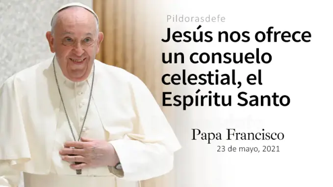 El Espiritu Santa dara testimonio Papa Francisco Juan   a Cita Biblica   