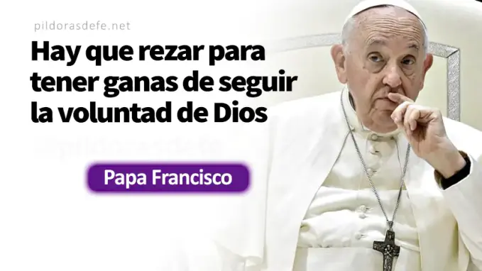 El Hijo da vida a los que quiere Papa Francisco Juan    Cita Biblica   