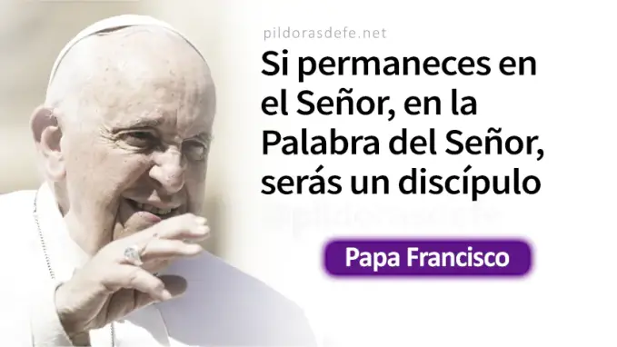 El Hijo los hara realmente libres Papa Francisco Juan    Cita Biblica   