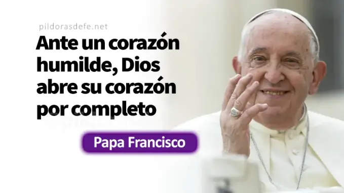 El publicano regreso justificado Papa Francisco Lucas    Cita Biblica   