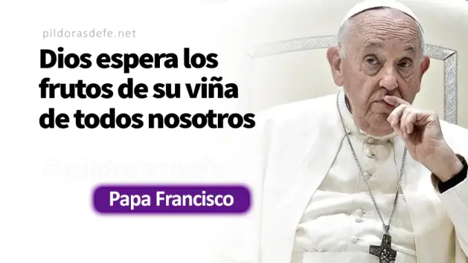 Es el heredero vamos a matarlo Papa Francisco Mateo      Cita Biblica   