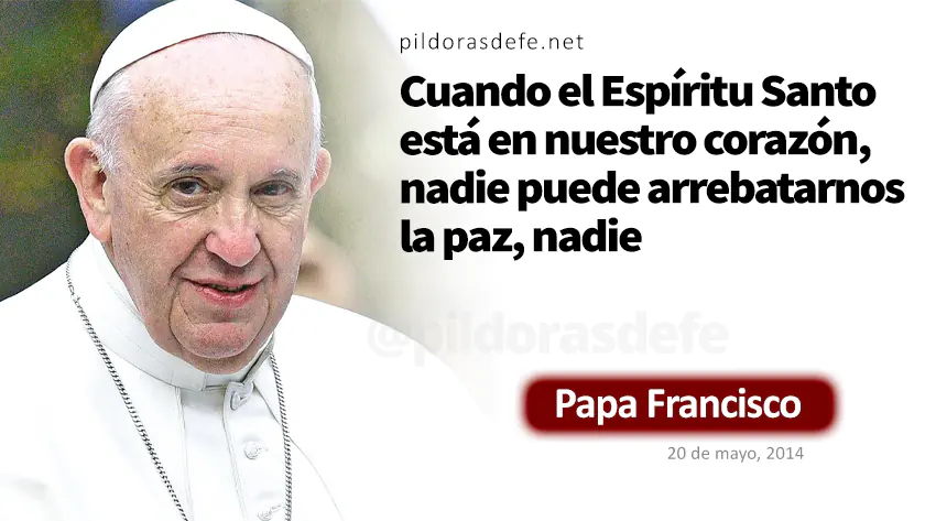 Evangelio de hoy Domingo Juan    Evangelio del dia Papa Francisco  mayo webp