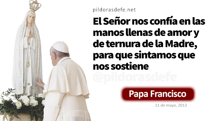 Evangelio de hoy Lunes Juan    Evangelio del dia Papa Francisco  mayo webp