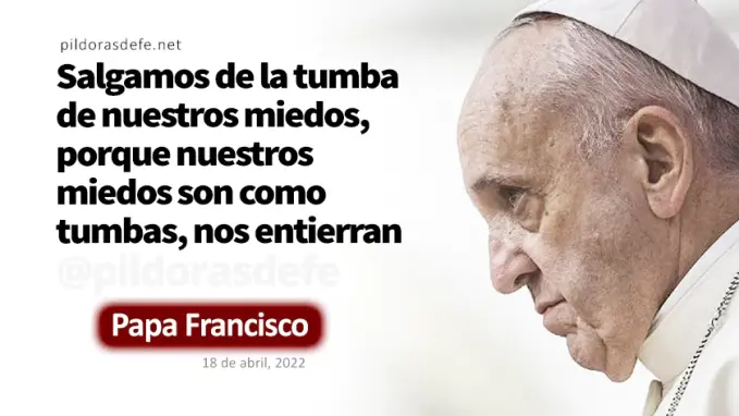 Evangelio de hoy Lunes Mateo    Evangelio del dia Papa Francisco  abril 