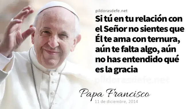 Evangelio de hoy Martes Marcos    Lecturas del dia Reflexion Papa Francisco   