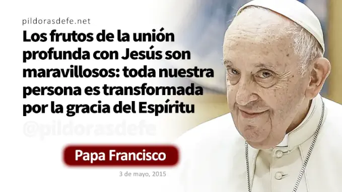 Evangelio de hoy Miercoles Mateo    Papa Francisco  junio 