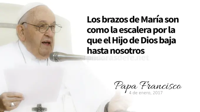 Evangelio de hoy Viernes Lucas    Lecturas del dia Reflexion del Papa Francisco   