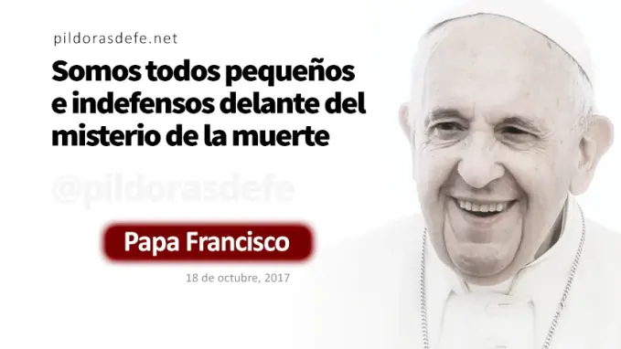 Evangelio de hoy lunes Juan    Creo que eres el Mesias  julio 