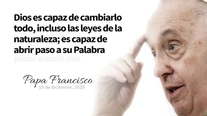 Evangelio de hoy martes Lucas    Lecturas del dia Reflexion del Papa Francisco   