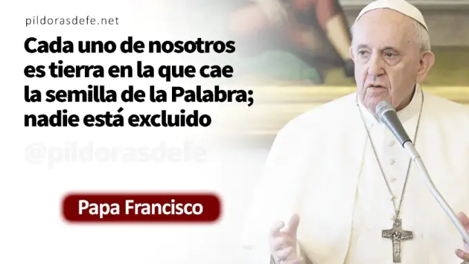 Evangelio de hoy miercoles Mateo    La parabola del sembrador  julio 