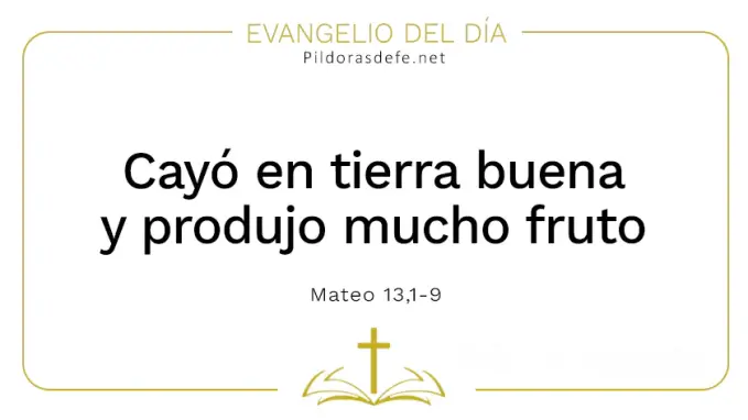 Evangelio del dia Cayo en tierra buena dio fruto Mateo    Cita Biblica   