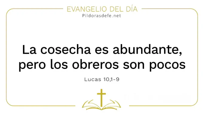 Evangelio del dia Cosecha abundante pero trabajadores pocos Lucas    Cita Biblica   