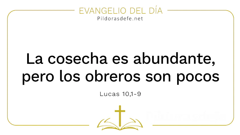Evangelio del dia Cosecha abundante pero trabajadores pocos Lucas    Cita Biblica   webp