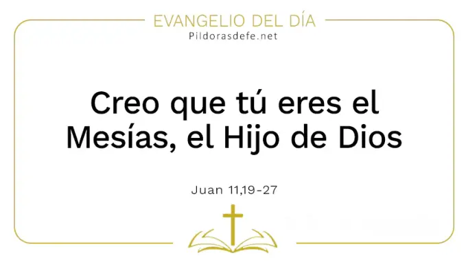 Evangelio del dia Creo que eres el Mesias Juan    Cita Biblica   