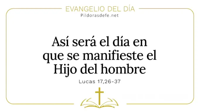 Evangelio del dia Dia que se manifieste Hijo del hombre Lucas    Cita Biblica   