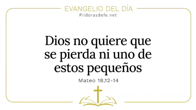 Evangelio del dia Dios no quiere se pierda ni uno de estos pequenos Mateo    Cita Biblica   