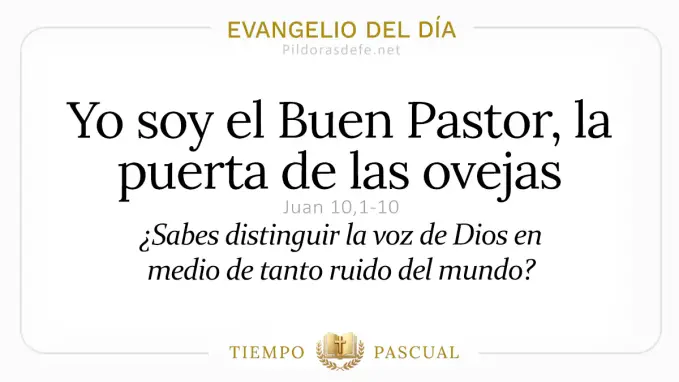 Evangelio del dia Domingo Juan    Yo soy el Buen Pastor  abril 